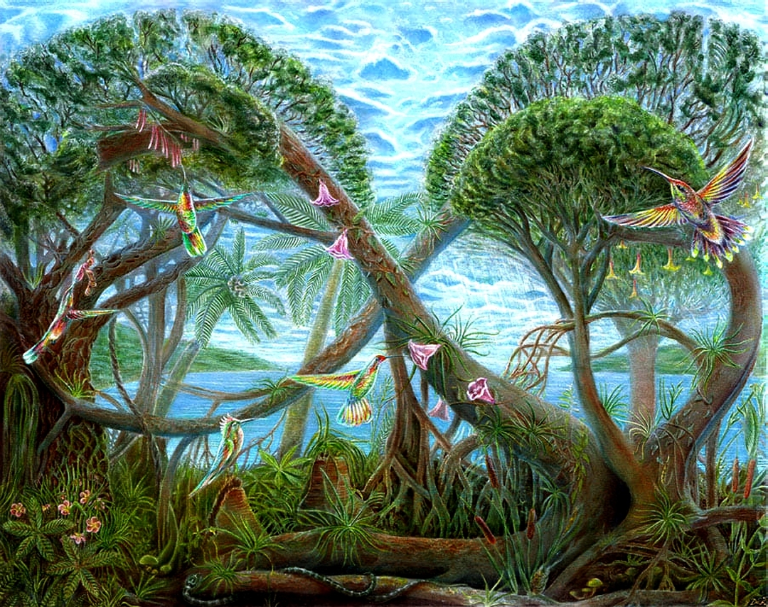 Deep Ecology Mirante
